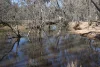 1 Yarrangong Road, Forbes, NSW 2871-Image