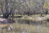1 Yarrangong Road, Forbes, NSW 2871-Image