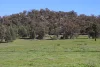 1 Yarrangong Road, Forbes, NSW 2871-Image