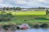 10 Arran Circuit, Largs, NSW 2320-Image