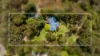 10 Dawson Street, Somersby, NSW 2250-Image