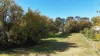 10 Monkittee Street, Braidwood, NSW 2622