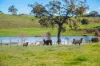 100 Burnley Road, Woodside, SA 5244-Image
