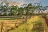 100 Sunday Ridge Road, Simpson VIC 3266-Image