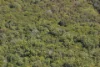 101, Greenhill Road, Ilbilbie, Qld 4738-Image