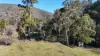 1017 Cassilis Road, Tongio, Vic 3896-Image