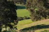 102, 684 Ryall Road, Brazier, WA 6251-Image