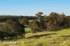 102, 684 Ryall Road, Brazier, WA 6251-Image