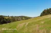 102, 684 Ryall Road, Brazier, WA 6251-Image