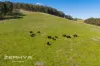 102, 684 Ryall Road, Brazier, WA 6251-Image