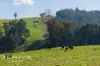 102, 684 Ryall Road, Brazier, WA 6251-Image