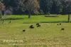 102, 684 Ryall Road, Brazier, WA 6251-Image