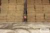 102 Avoca - Bealiba Road, Avoca, Vic 3467-Image
