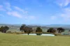 103 Grandview Drive, Barwite, Vic 3722-Image