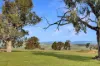 103 Grandview Drive, Barwite, Vic 3722-Image