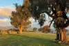 103 Grandview Drive, Barwite, Vic 3722-Image
