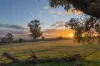 103 Grandview Drive, Barwite, Vic 3722-Image