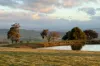103 Grandview Drive, Barwite, Vic 3722-Image