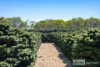 103 Longbottom Road, Robe, SA 5276-Image