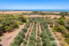 103 Longbottom Road, Robe, SA 5276-Image