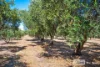 103 Longbottom Road, Robe, SA 5276-Image
