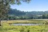1050 Afterlee Road, Eden Creek, NSW 2474-Image