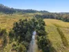 1050 Afterlee Road, Eden Creek, NSW 2474-Image