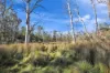 1060 Creewah Road, Creewah, NSW 2631