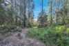 1060 Creewah Road, Creewah, NSW 2631-Image