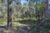 1060 Creewah Road, Creewah, NSW 2631-Image
