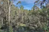 1060 Creewah Road, Creewah, NSW 2631-Image