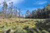 1060 Creewah Road, Creewah, NSW 2631-Image