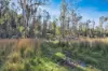1060 Creewah Road, Creewah, NSW 2631-Image
