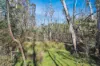 1060 Creewah Road, Creewah, NSW 2631-Image