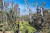 1060 Creewah Road, Creewah, NSW 2631-Image