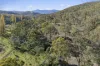 1061 Urila Road, Urila, NSW 2620-Image
