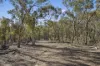 1061 Urila Road, Urila, NSW 2620-Image