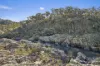 1061 Urila Road, Urila, NSW 2620-Image
