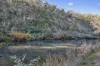 1061 Urila Road, Urila, NSW 2620-Image