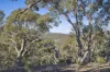 1061 Urila Road, Urila, NSW 2620-Image