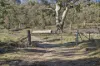 1061 Urila Road, Urila, NSW 2620-Image