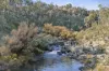 1061 Urila Road, Urila, NSW 2620-Image