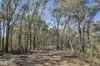 1061 Urila Road, Urila, NSW 2620-Image