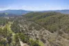 1061 Urila Road, Urila, NSW 2620-Image