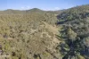 1061 Urila Road, Urila, NSW 2620-Image