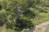 1069 Gin Gin - Mount Perry Road, Moolboolaman, Qld 4671-Image