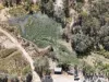 1074 Springmount Road, Mutchilba, Qld 4872-Image