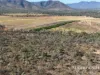 1074 Springmount Road, Mutchilba, Qld 4872-Image