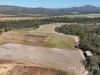 1074 Springmount Road, Mutchilba, Qld 4872-Image