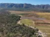1074 Springmount Road, Mutchilba, Qld 4872-Image